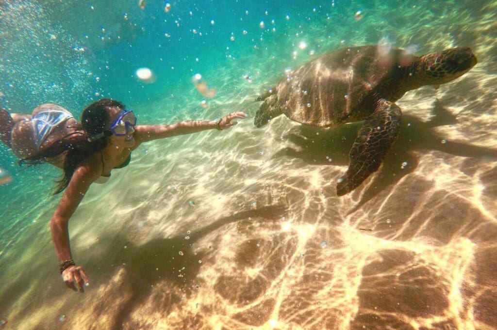 Girl snorkeling underwater with a turtle in crystal clear blue water