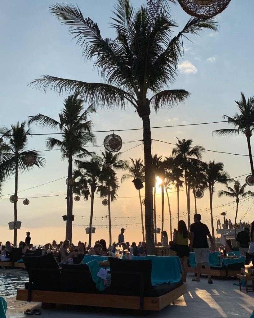 Palm tree silhouettes in front of a sunset