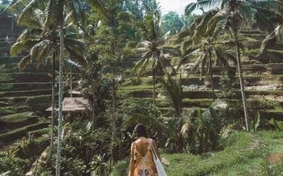 The Perfect One Week in Bali Itinerary for First-Time Visitors