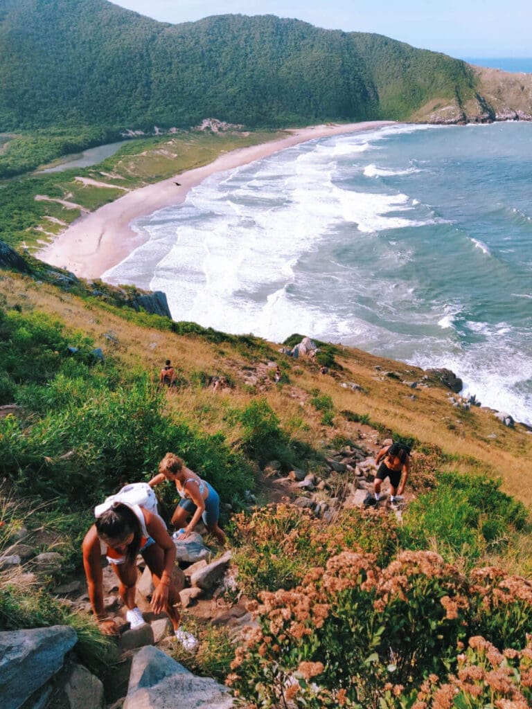 Climbers on a steep cliff overlooking beach