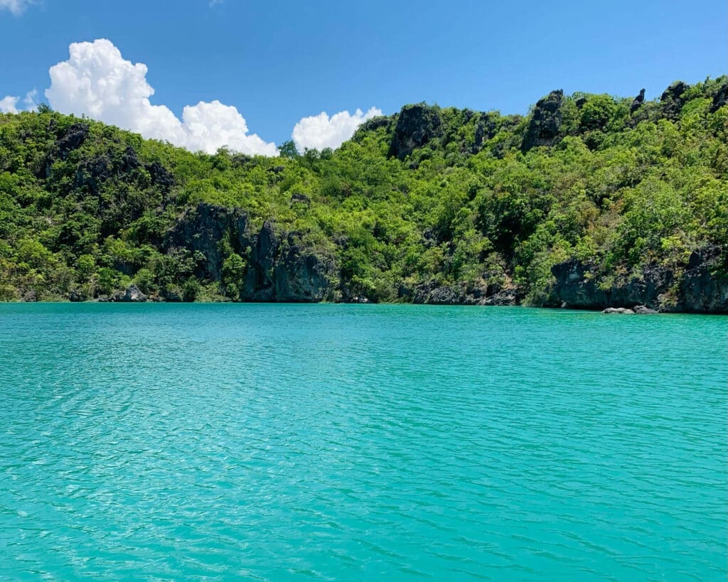 Brilliant blue lake surrounded by lush green fauna