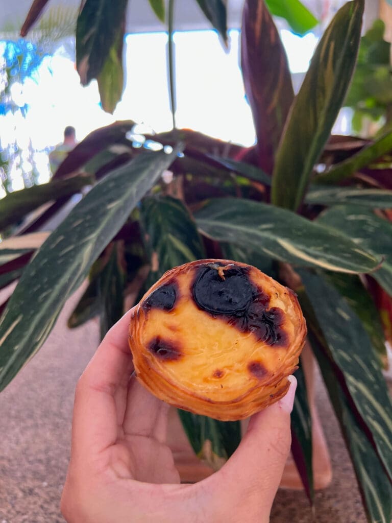 Pastel de Nata from O Paozinho das Marias