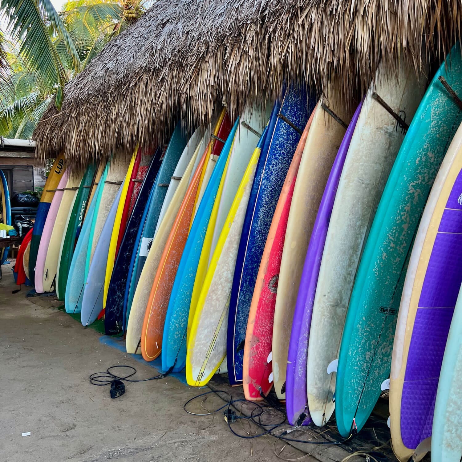 A giant rack of longboard surfboards