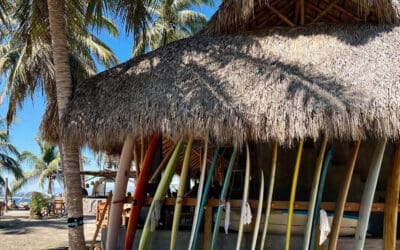 La Saladita Mexico: Ultimate Surf and Travel Guide