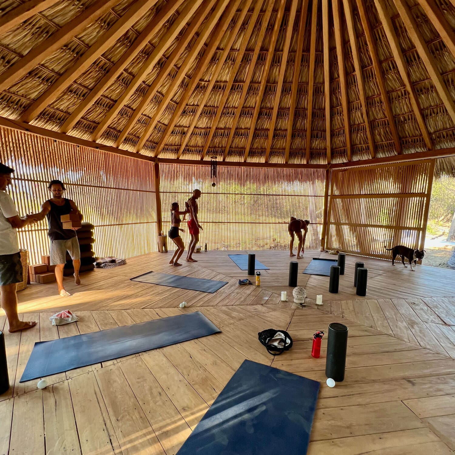 Yoga shala in La Saladita