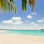 Caribbean beach and palm trees