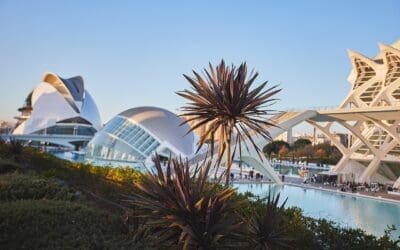 Benefits of Traveling and Pursuing Online Learning