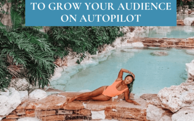 The Freebie Strategy to Grow Your Audience on Autopilot
