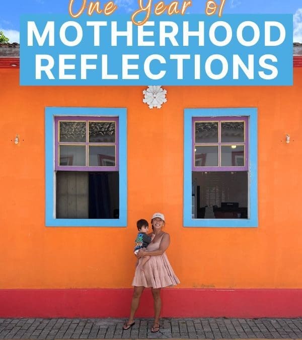 1 Year of Motherhood Reflections